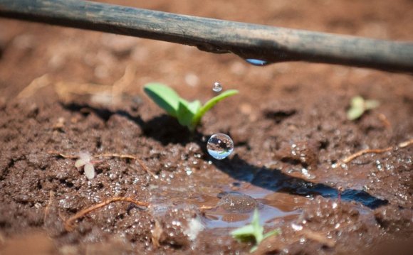 Drip irrigation is a common