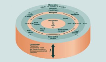 Figure 1. Bronfenbrenner's Social Ecology Model, explained in surrounding text.