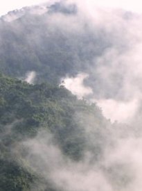 Mountains & forests in mist