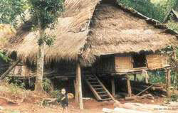 Muong cultural minority's stilt home