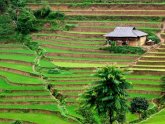 Physical features of Vietnam