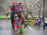 Vietnamese transport