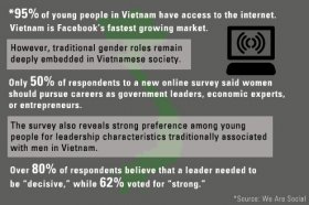 Vietnam Survey of Youth