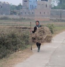 Vietnamese farmer