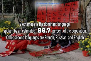 vietnamese-languages