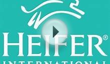 Heifer International | Charity Ending Hunger And Poverty