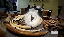 Vietnamese customs seized two tons of elephant ivory in