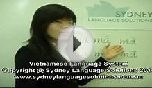 Vietnamese Language System